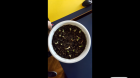 Screenshot_2016-01-23-10-06-26