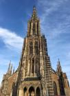 ULM Katedrala