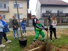 Cetvrti Razredi (2)