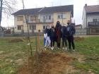 Cetvrti Razredi (3)