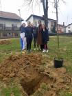 Cetvrti Razredi (7)