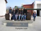 Trpinjska Cesta_1