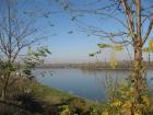 Dunav