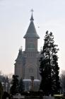 Timisoara368
