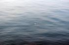 Image024
