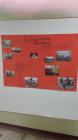 IMG-20171116-WA0002