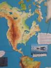 20180420_124239 (1)