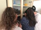 IMG-20180602-WA0051