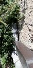 IMG-20181118-WA0051