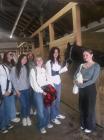 IMG-20221013-WA0007