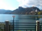 Bled