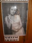 Marlene_Dietrich