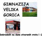 Gvg