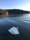 IMG-20170331-WA0012
