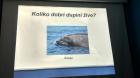 Predavanje O Dupinima U Institutu Plavi Svijet  