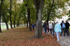Sisak (10)