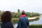 Sisak (8)