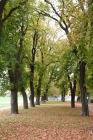 Sisak (9)