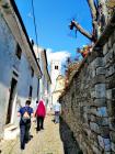 Istra (2)