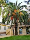Istra (22)