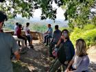 Istra (64)