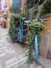 Istra (67)