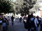 Makarska _Metkovi _Sinj (20)