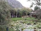 Makarska _Metkovi _Sinj (8)