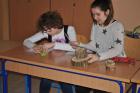 Odreujemo Starost Drvea