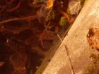 IMG_20160317_140110