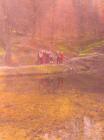 IMG_20160317_140845