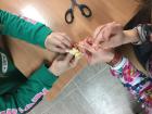 IMG-A51b11c1cccad2aaaf0c8889154307af-V