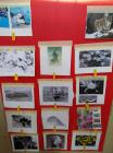 IMG_20190207_094140