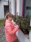 IMG-A17b9f19a105c664d7179ef324acbafc-V