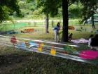 IMG-8b1572ef2df6581b154e37a5aa7e49eb-V