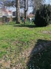 IMG_20210331_160110