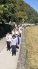 IMG-F77c6ca11628a2a08fed01cfbc69716b-V