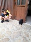 IMG-01866d04ca4500d4b7ad00d883e78181-V