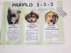 IMG-3cc6209fb8fc45b855c80280244d0134-V