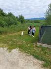 IMG-7ce766a34d7c1cce556629555c06bb88-V