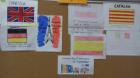 IMG-B0236d8817bf691e9b9f3d6e1a8de493-V