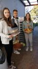 IMG-Cd22ade4d5d205d9e4d0c06a09cc0693-V