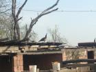 IMG_1590_800x600