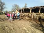 IMG_1603_800x600