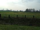 IMG_1614_800x600