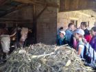 IMG_1631_800x600
