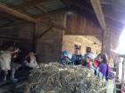 IMG_1632_800x600
