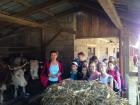 IMG_1634_800x600