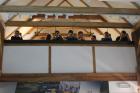 IMG_3376_800x533
