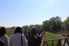 IMG_3399_800x533